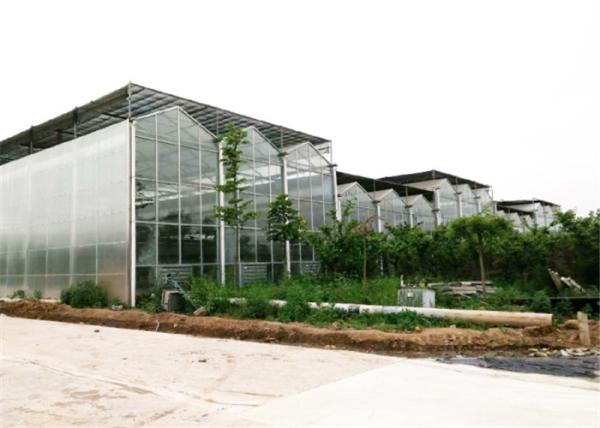 4mm / 5mm Glass Covering Glass Greenhouse Kit , Forest Garden Greenhouse For Seed Breeding