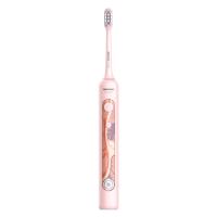2024 Brosse à dents électrique sonore blanchissante en gros pour adultes, avec 2 têtes de brosse Dupont