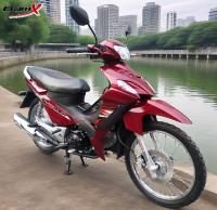 moto automatique de l'embrayage 110cc Pit Dirt Bike Honda 125cc de moto de 12v 5ah CUB