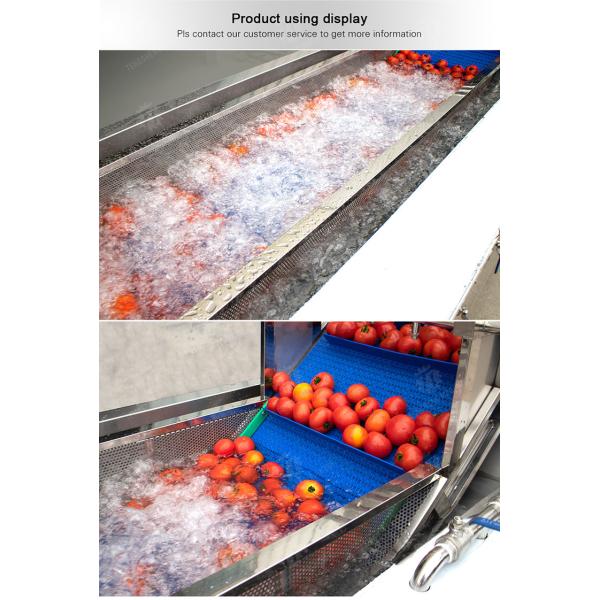 Leaves Leafy vegetables Cabbage varieties Herbs Fruiting vegetables Vegetables bubblewashing machine Wash Washer Washing Cleaning The dish washing machine