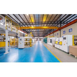 Anhui Wanyi Science and Technology Co., Ltd.