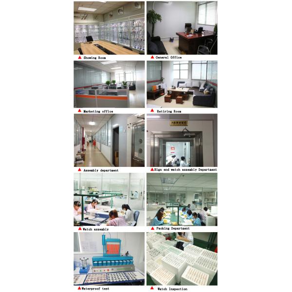 Alloy Wrist watch ,Laides   watch with Japan Movement Perlon Strap Classic Ultra-thin case Lady watch