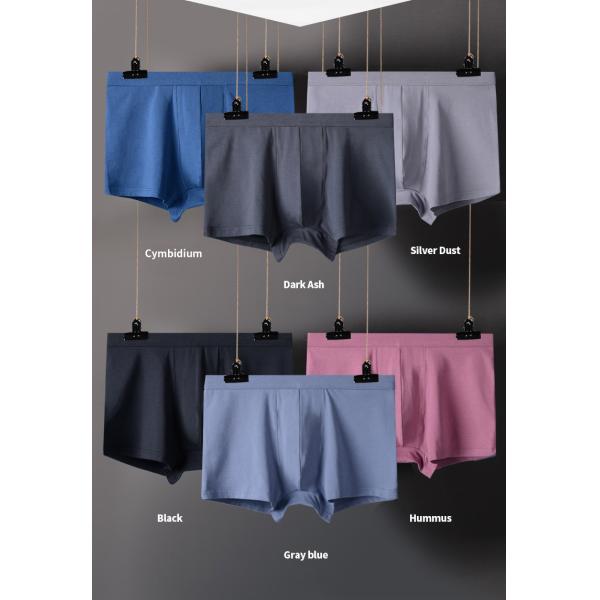 L-6XL Plus Size Male Underwear Cotton High Elasticity Modal Men Underwear