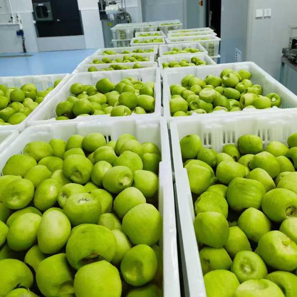 Киви Фрукты замороженные Фрукты замороженные Киви мяч Качество натуральное