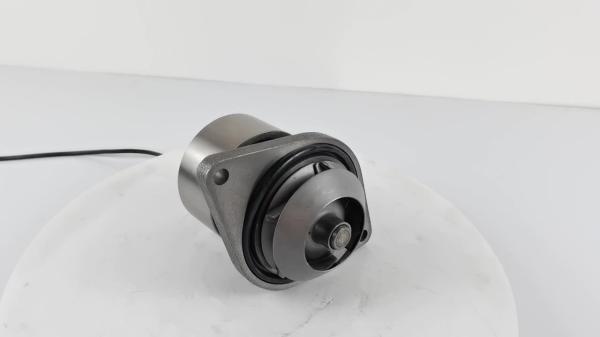 3389145 Hyundai Water Pump