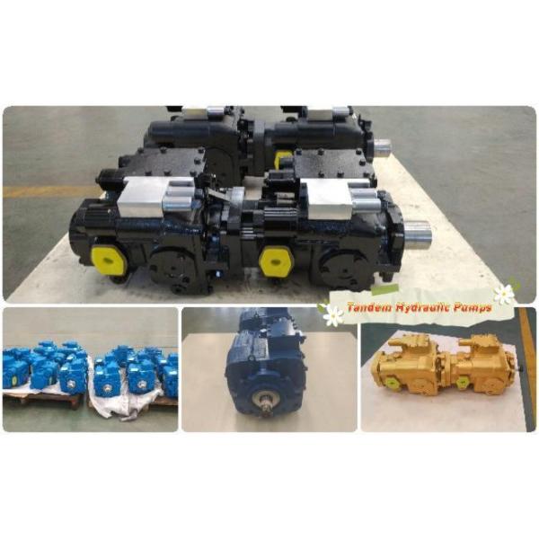 Hydraulic Tandem Pump For Multi-functional Agricultural Machinery