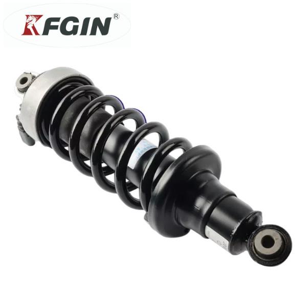 420 512 019AM Audi R8 Inducteur arrière à gauche et à droite absorbeurs de choc à piliers arrière absorbeurs de choc hydrauliques