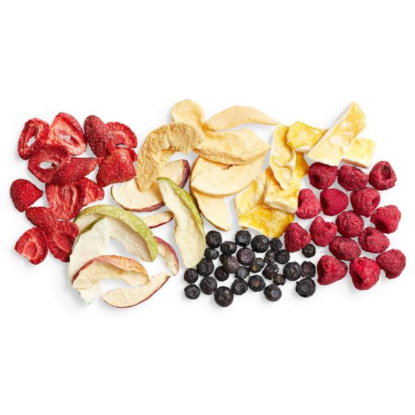 SED-20DG Large Size Low Temperature Freeze Dry Machine Industrial Freeze Drying Equipment