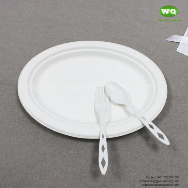 10/12 Inch biodegradable sugarcane Oval Plate-Wholesale Water-proof bagasse plate-Natural friendly pulp tableware