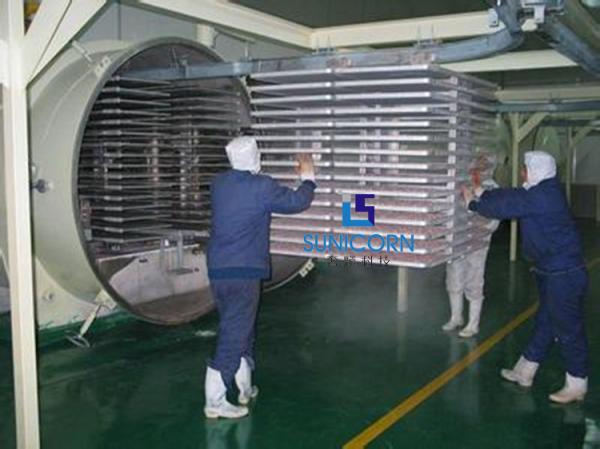 Prefabricated Industrial Sheds Vacuum Freeze Dryer Remote Control Monitoring Available