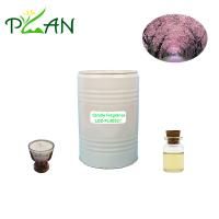 Huile de parfumée biologique Sakura floral aromathérapie huile essentielle de fleurs de cerisier concentrée