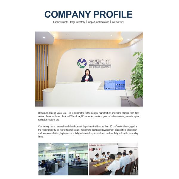 FT-43FGM300 Flat Gear Motor DC 3V 6V 12V 24V Glass Door Lock Motor