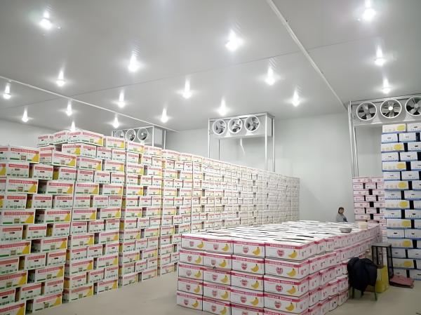 Mobile Meat Cold Storage Unit For Food Industry / Pharmaceutical Industry