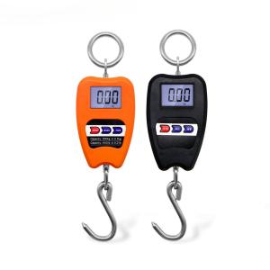OEM Customizable 200kg Capacity Heavy Duty Stainless Steel Hanging Hook Scales