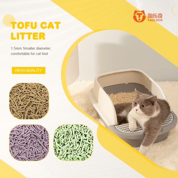 2025 Latest Arrival Efficient Agglomeration 100% Natural Materials Sanitary Sand Easy Scooping Effective Odor Control Dust Free Clumping Cat Litter 5L 6L 7L 10L


