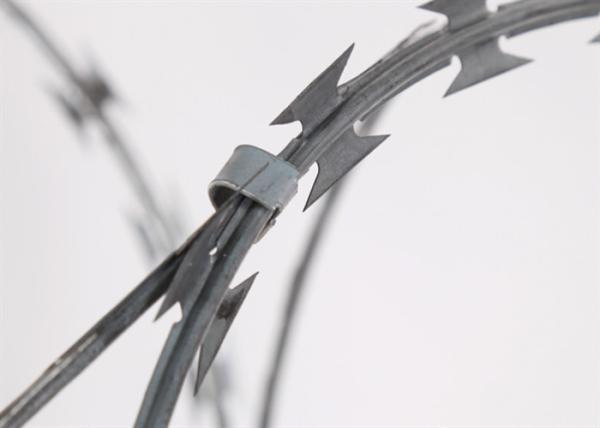Garden Apartment 50kg Bwg12 Stainless Steel Razor Wire Bto-22