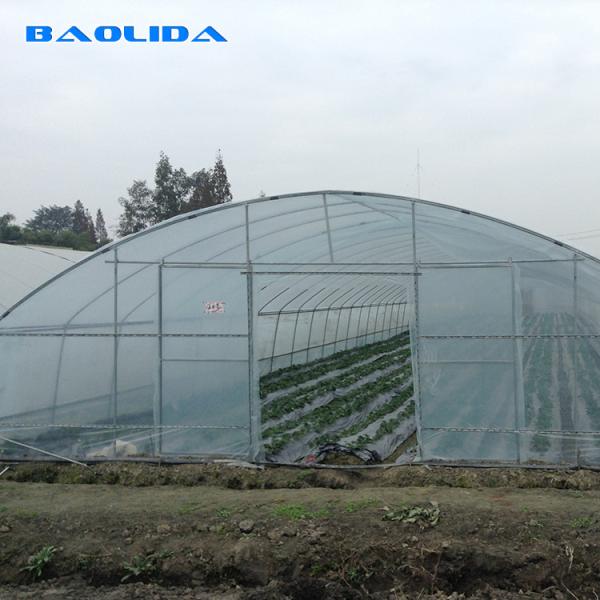 Usines plantant la serre chaude simple d'envergure de film de pe de la feuille de plastique de norme d'agriculture 8m 60m