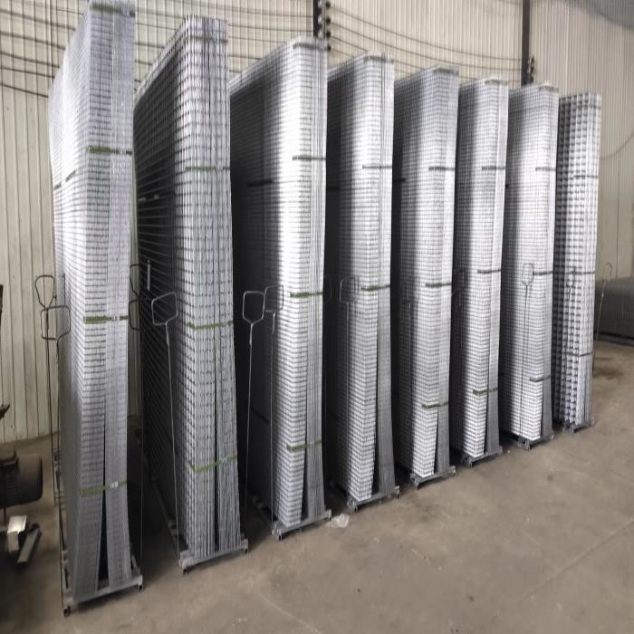 Hot Dipped Galvanized Welded Wire Mesh Panels 100×50mm Mesh in 30m Roll for