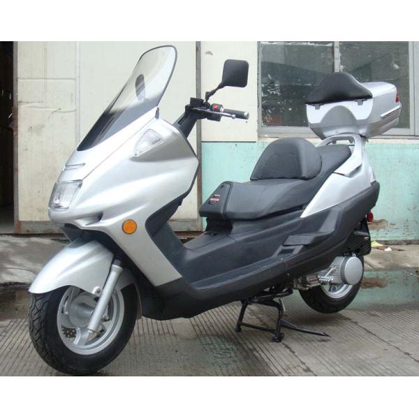 Kick Start Adult Motor Scooter 12 Inch Rim With Chromaticity Double Rear Shock