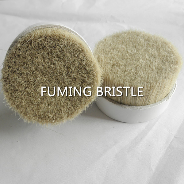 51mm hankou boiled pig bristle