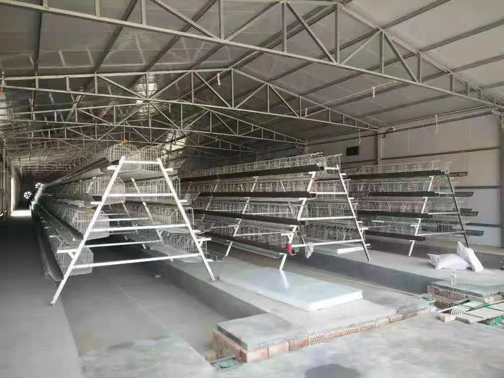 Galvanized Steel Multi Level A Frame Layer Cage System for Efficient Poultry Farming