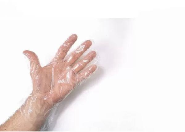 Biodegradable Disposable Transparent Clear Plastic  Gloves Available
