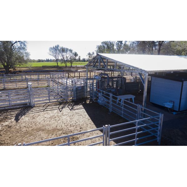 Galvanized Mesh Sheep Enclosure Fence Ensuring Long Lasting Protection and Minimal Maintenance for Livestock Containment