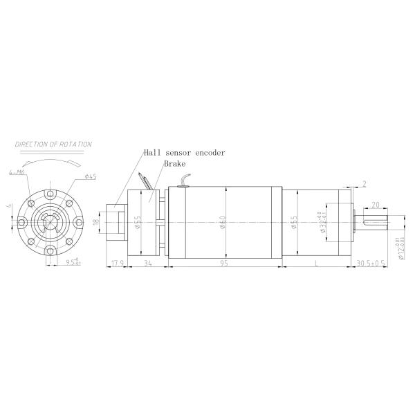 55mm 100kg 30 Nm DC Planetary Gear Motor With Brake Steel Gear