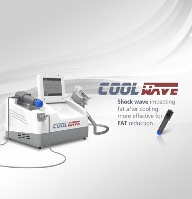 Máquina de congelação gorda móvel de Cryolipolysis para o tamanho compacto de perda de peso