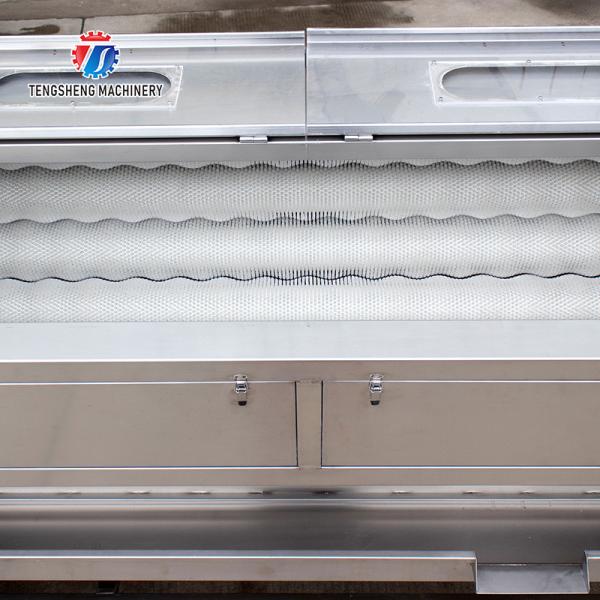 380KG Stainless steel wool roller peeling cleaning machine turnip automatic fruit and vegetable peeling