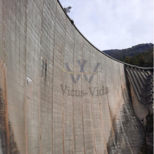 VPU-1 Hydrophilic Polyurethane Grouting Materials for Waterproof Plugging and Reinforcement Repair of Concrete Leakage