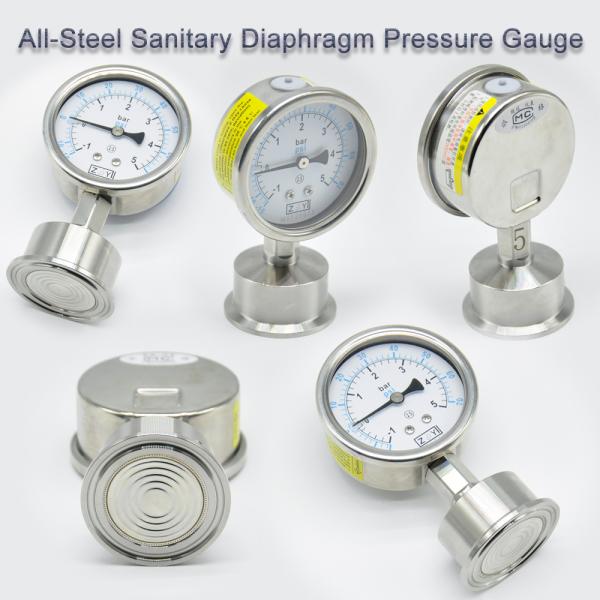 10 Bar Gas Cylinder Pressure Gauge Stainless Steel Hygienic Diaphragm