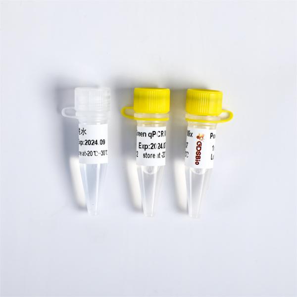 Power Green qPCR Mix for DNA real time PCR
