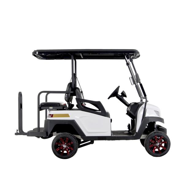 48V Lithium Batteries M1S2 2 Design Perfect Electric Golf Car For Golf Course