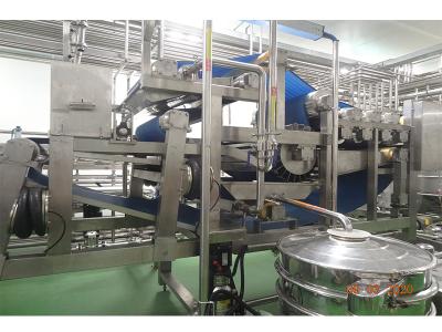 Belt Type 5T/H SUS304 Fruit Pulp Extraction Machine