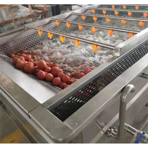 OEM Машина для мытья овощей Коммерческая для очистки остатков пестицидов картофеля
