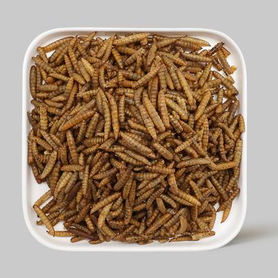 Organic Dried Soldier Fly Larvae Cool And Dry Storage
