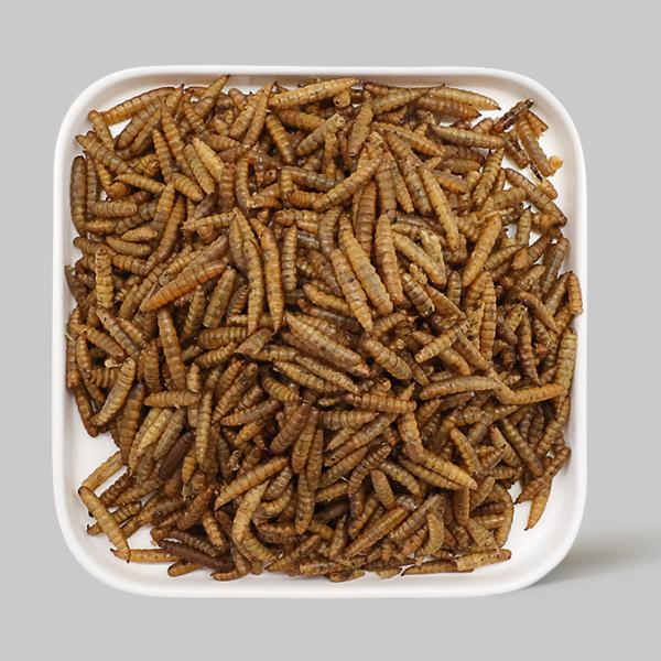 Yellow Dried BSF Larvae - Suitable for Storage Cool And Dry Place