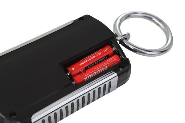 Weiheng C200 Portable Digital Crane Scale with High Precision and AAA Battery Power Supply 200kg ABS Material