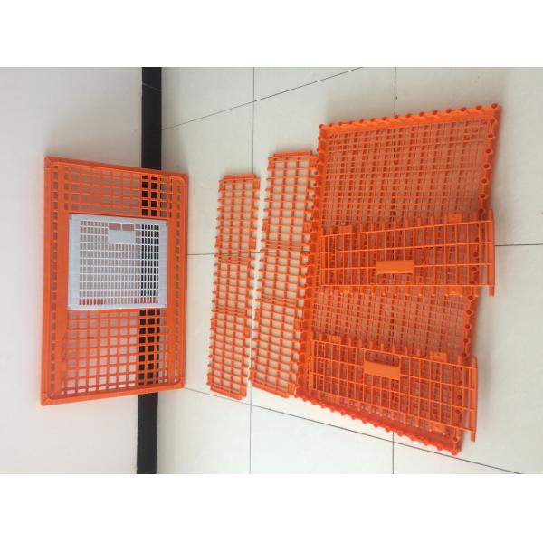 Commercial Farm Polypropylene Chicken Transport Cages