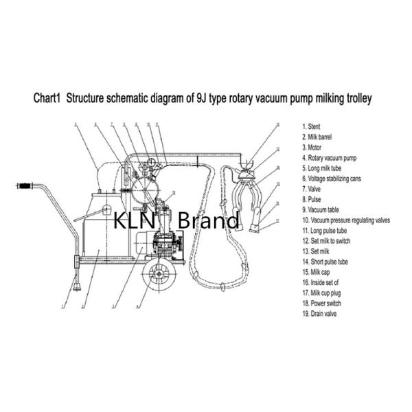 Cow Buffalo Goat Portable Milking Machine 2 Buckets Vacuum Pump