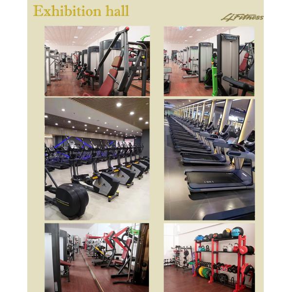 Full Commercial Gym Equipment Hammer Strength Dip Machine With Customizable Color