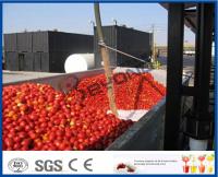 Sauce tomate faisant la chaîne de production de sauce tomate de machine avec système chaud/froid de coupure