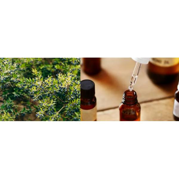 Pure Myrtle Fragrance For Perfume Making / Myrtle Essential Oil