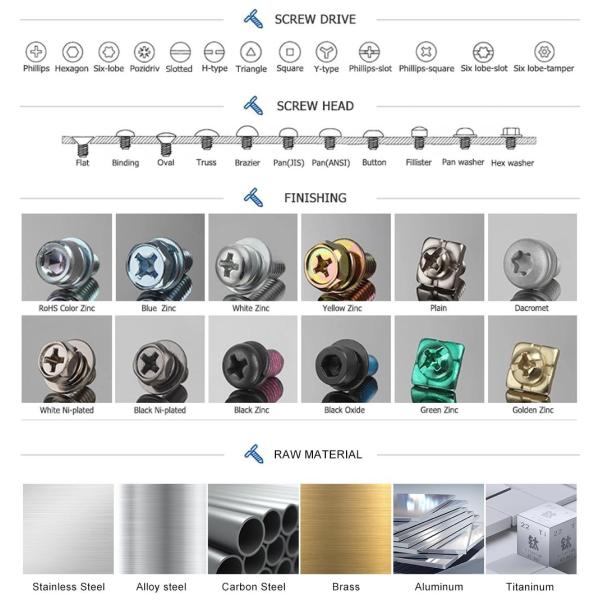 Thread Forming Screw for Plastic Metal Wood Customized Stainless Steel Powder Coating