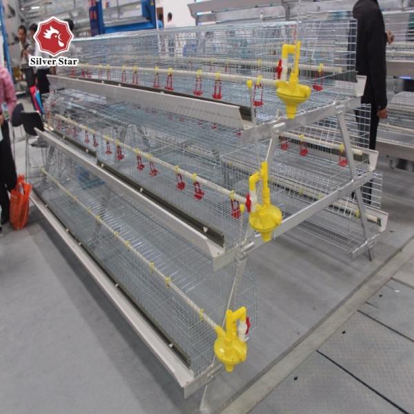 O tipo galinhas de Chick Breeder Broiler Chicken Cage A da franga do ovo da camada galvanizou a malha de aço