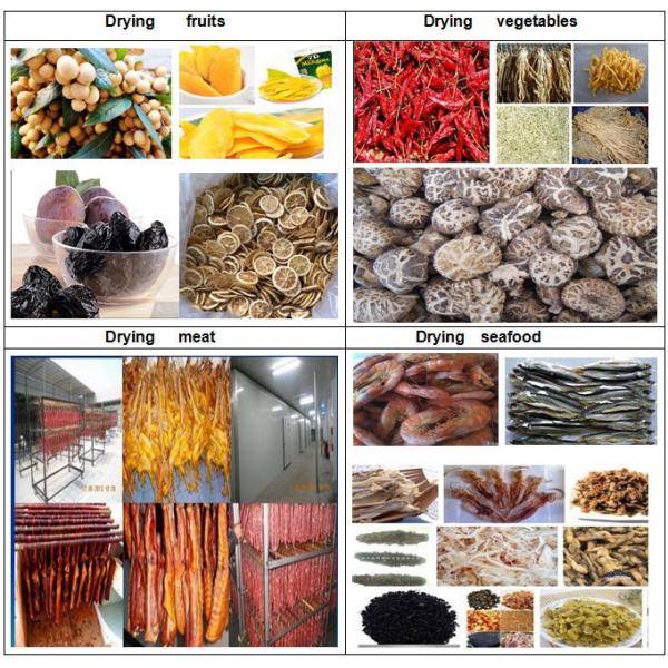 Commercial  Hot Air  Fruit Blower Mesh Belt Vegetable  Drying Machine Meat Seafood Dryer