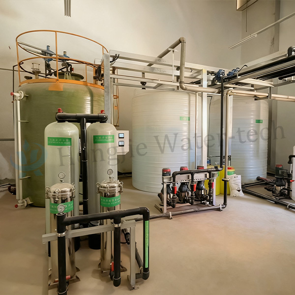 20T/H Dual-Stage RO + EDI + Mixed Bed Ultrapure Water Systems For Hungarian 