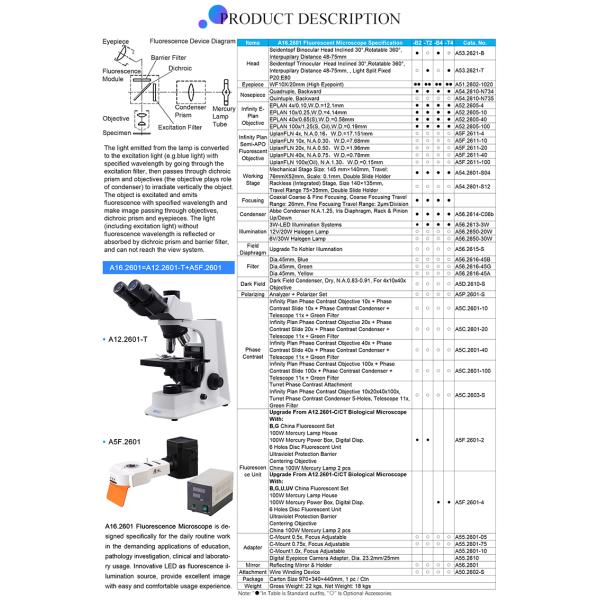 Microscopio de fluorescencia fijo partido A16.2601 de la luz de la precisión binocular/Trinocular