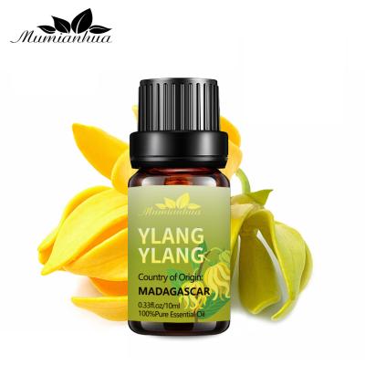 Os óleos essenciais do corpo amarelo perfumam a pele pura do óleo essencial do USDA 25kg Ylang Ylang